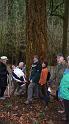 2014 DAV Wandern 5. Jan. klein 016